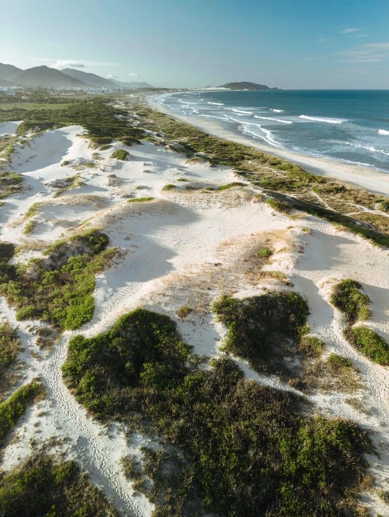 Sand dunes and ocean